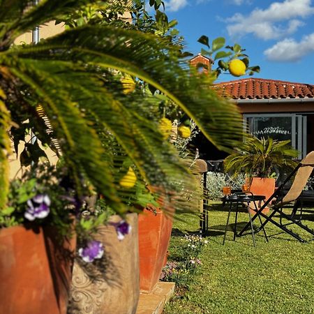 Villa Mihaela Fažana Dış mekan fotoğraf